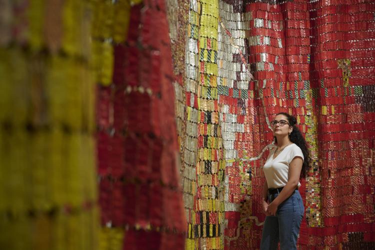 El Anatsui image 2