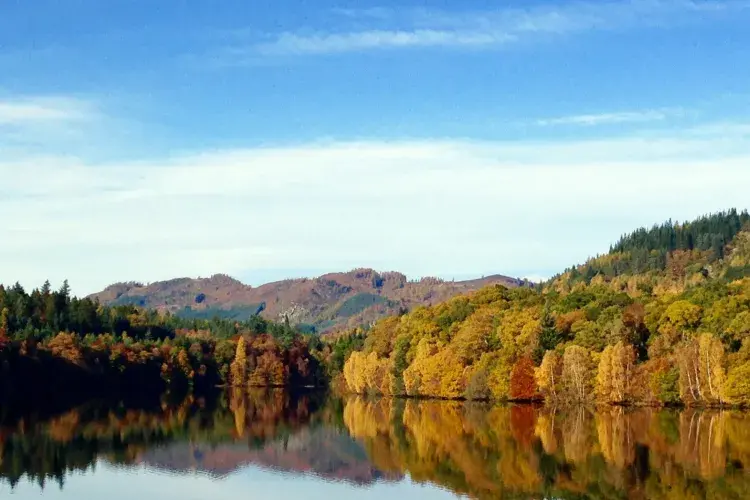Soothing image app riverbank