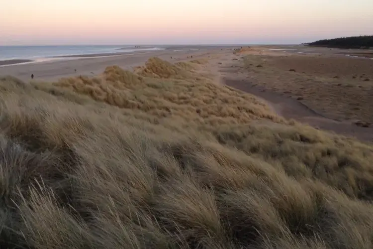 Soothing image app beach