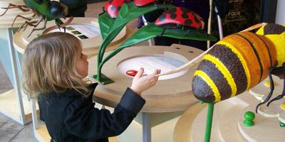 Toddler interacting with biodiversity exhibition