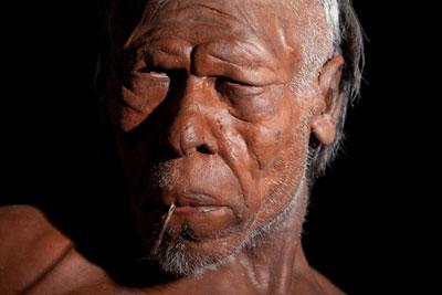 Model of early modern human