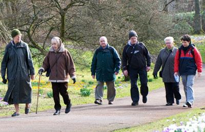 Photo of group of older adults taking brisk walk in park