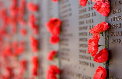 Poppys on war memorial