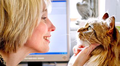 Professor Danièlle A Gunn-Moore checking a feline patient