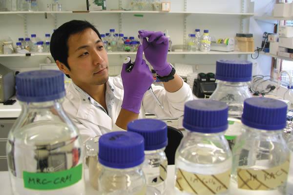 Dr Keisuke Kaji from the Medical Research Council (MRC) Centre for Regenerative Medicine