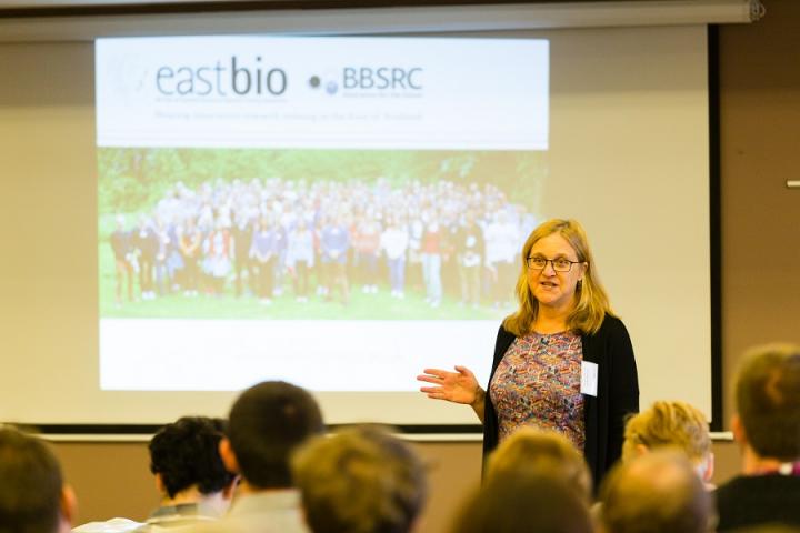 Professor Clare Blackburn, Director of the Graduate School of Biological Sciences