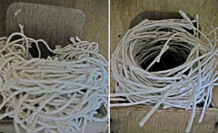 A bird nest made of string