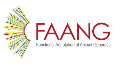 FAANG logo