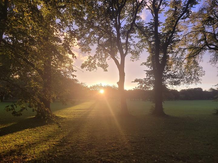 Photograph of The Meadows in Edinburgh. The sun is rising between the trees , in the distance is a line of trees.