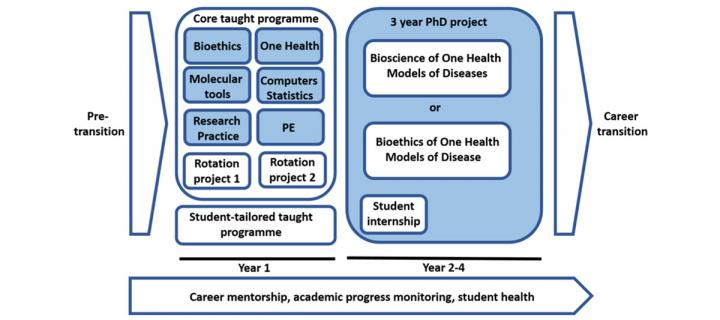 Training structure for One Health Models of Disease PhD programme