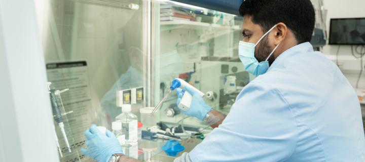 Researcher in a laboratory doing cell culture
