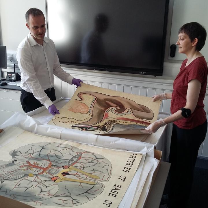 Malcolm and colleague Ruth Pollitt with an anatomical artwork