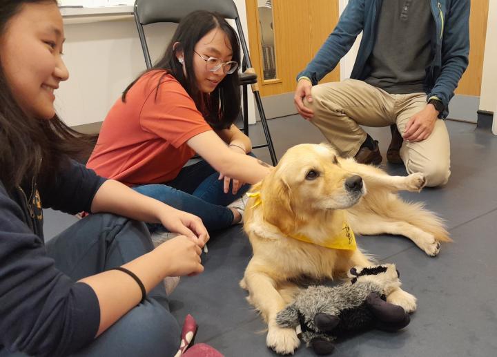 Paws on Campus participants petting golden retriever in 127 Nicolson Street. 