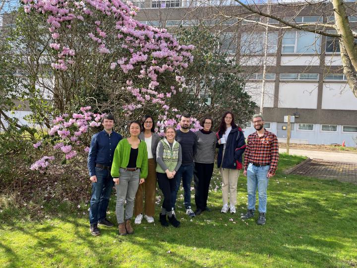 Group photo of eight members of the Hetherington lab standing outside in front of a tree with pink blossum