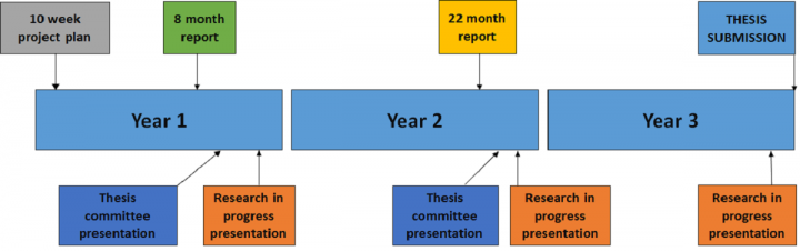 Graphical representation of the basic 3 year PhD assessment process