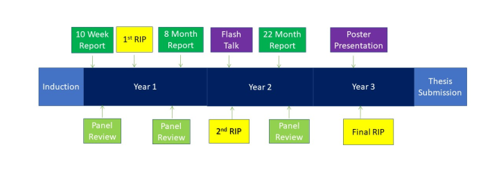 3 year course timeline