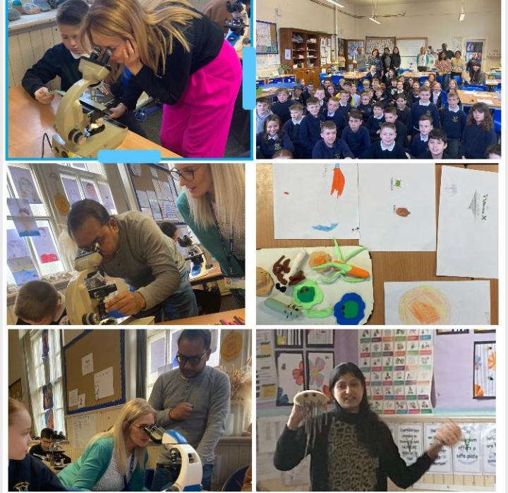 Collage of photos from the activites, taken in classroom, showing researchers, pupils and some drawings