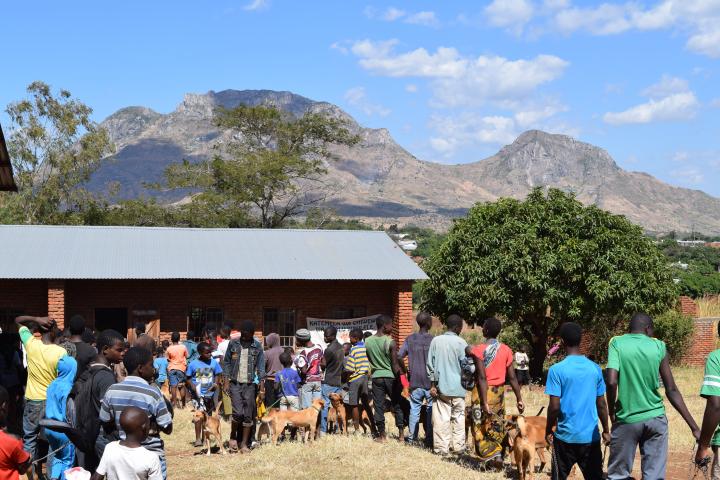 Static point vaccination clinic in Blantyre, Malawi