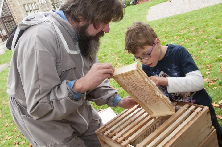 Roslin researcher showing a boy the inside of a bee hive