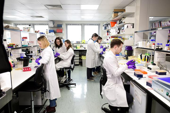 Researchers from the Abbott Research Group at work in the lab