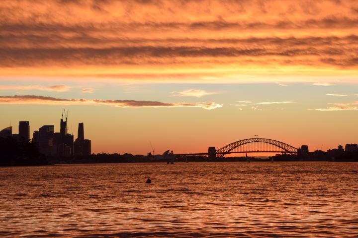 Photo looking over the Harbour Bridge in Sydney at sunset