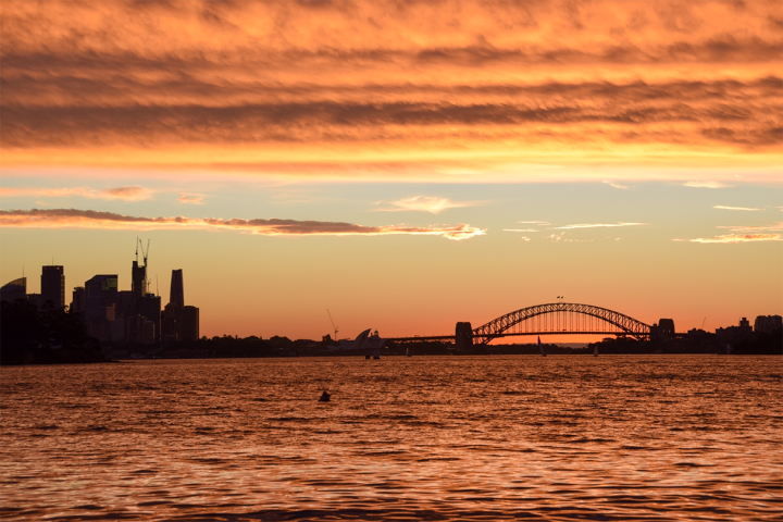 Sydney Harbour Bridge silhouetted against and orange sky.