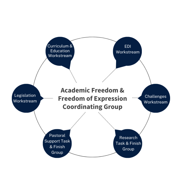 Four Workstreams and two Task and Finish Groups are overseen by the Academic Freedom & Freedom of Expression Coordinating group