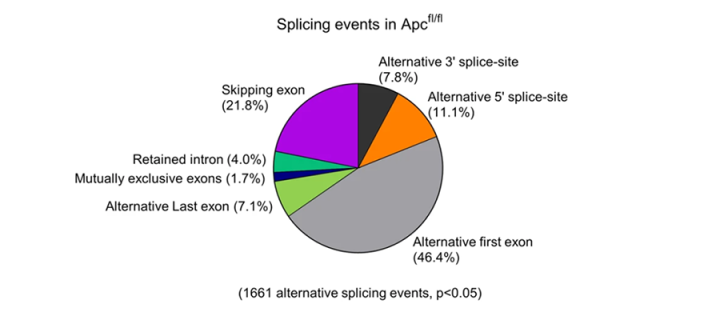 Alternative splicing events following Apc-deletion. [For details see Hall A et al. Nat Commun. 2022 May 19;13(1):2791].