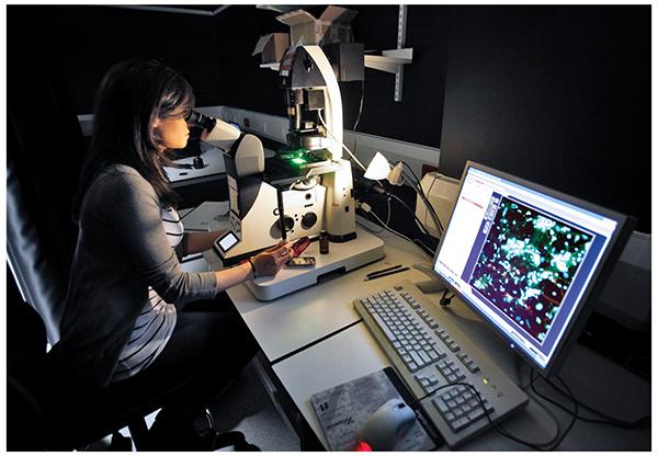 Researcher looking down a microscope in the Universityof Edinburgh Centre for regenerative medicine