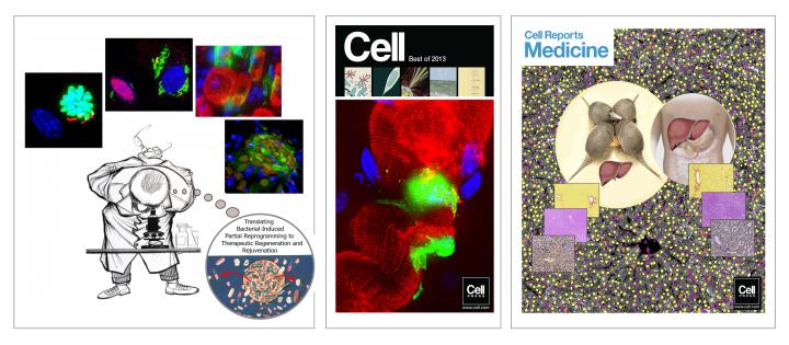 A selection of images relating to the Rambukkana lab