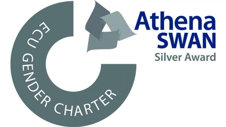 Athena Swann Silver Award symbol
