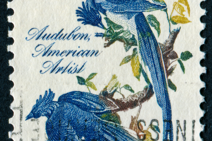 Two bluebirds - Audubon (1785-1851) painting - depicted on vintage Airmail American Stamp