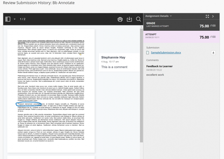 Bb Student marker view, blue circled text and comment in comment panel.