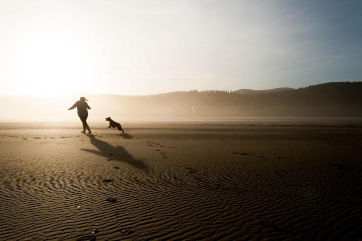 Photograph of a person and a dog running on a beach. The sun is shining overhead and there are hills in the distance. 