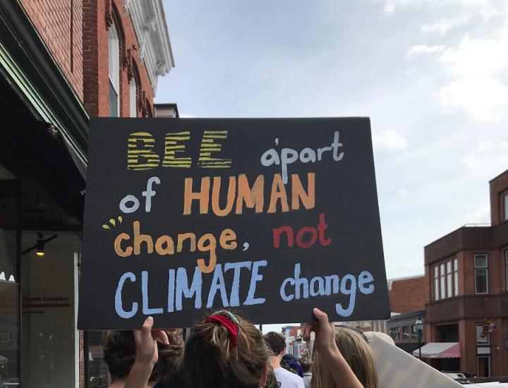 Bee climate change sign
