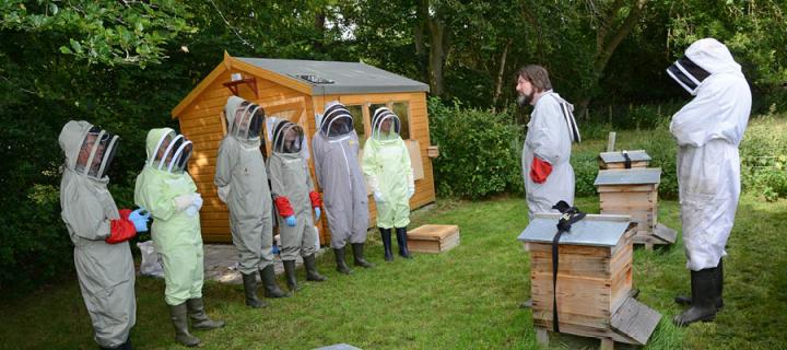 Members of the public wearing bee suits visit the Easter Bush Campus Apiary