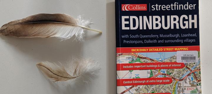 Feathers and a map of Edinburgh