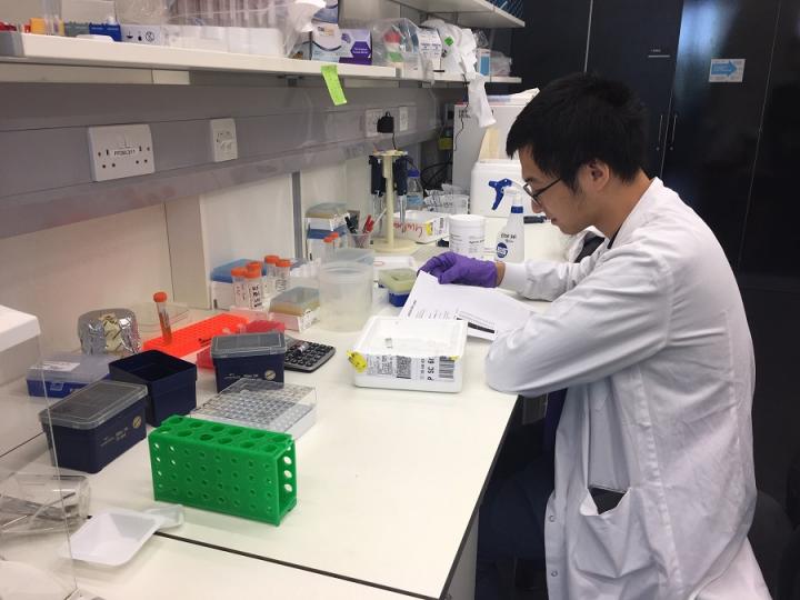 MScR student Jiazheng working in the Blin lab at the Centre for Regenerative Medicine