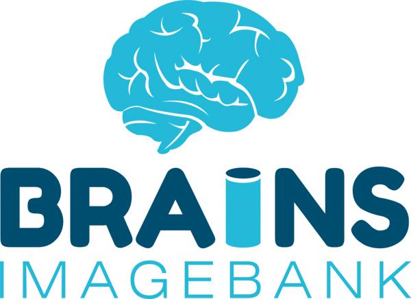 Brain Images of Normal Subjects (BRAINS) imagebank logo