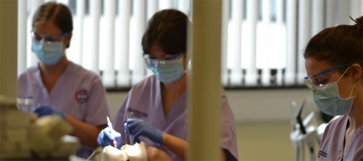 3 Dental students use practice dental dummies