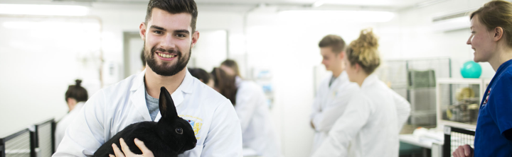 A vet student holds a rabbit in a clinical environment