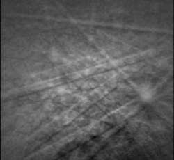 An image using Electron Backscatter Diffraction that shows silica inclusions within diamond