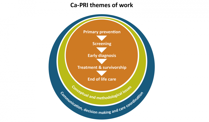 Ca-PRI themes of work