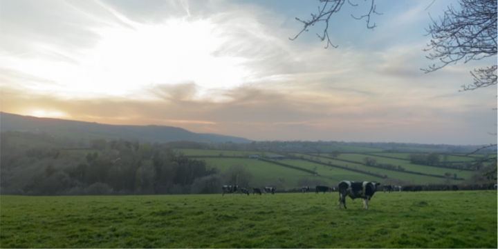 Photograph of a field with cows, in the distance are some trees and more fields. On the horizon the sun is setting behind hills.