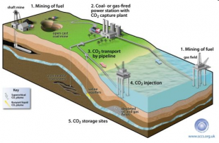 Diagram showing how Carbon Capture and Storage work