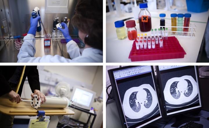 Collage of images including pippetting, tubes in a rack, scientific equipment and lung imaging on a computer screen