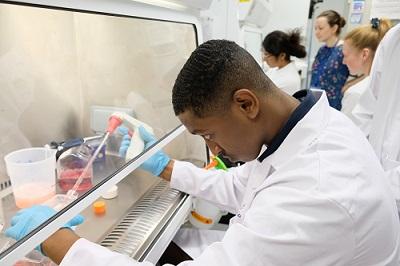 Science Insights lab taster session at the Centre for Inflammation Research