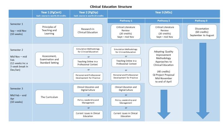 Image of the Clinical Education programme structure