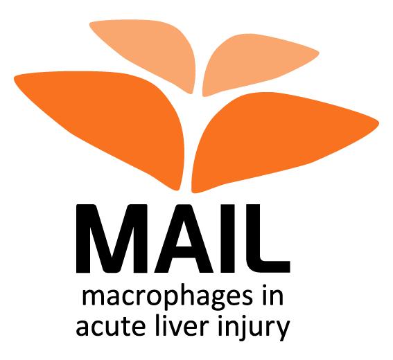 MAIL macrophages in acute liver injury logo