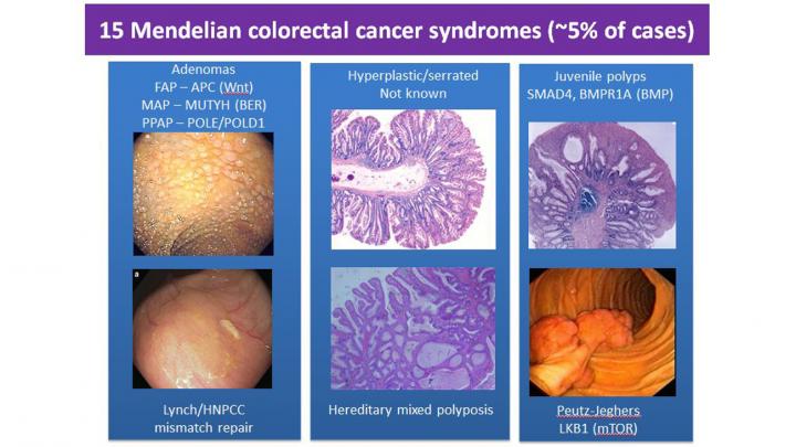 Colorectal cancer syndromes
